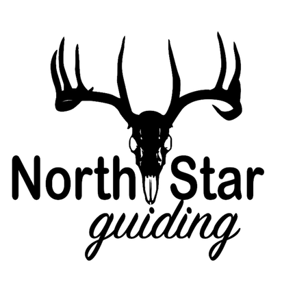 North Star Guiding